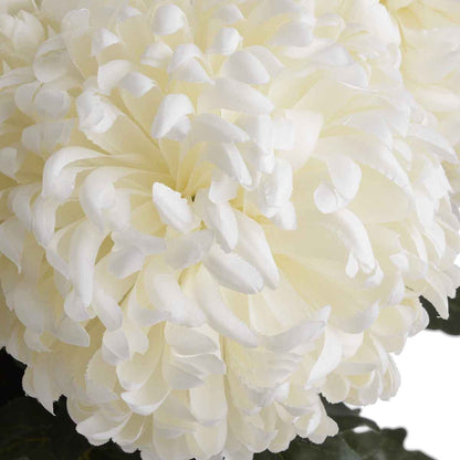 Artificial Soft White Chrysanthemum Stem – Click Style