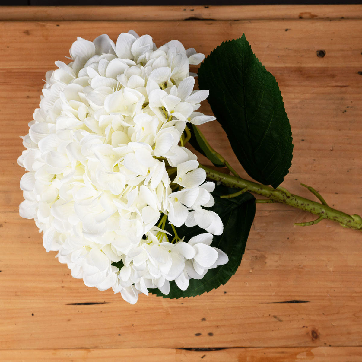 Artificial Soft White Large-Bloomed Hydrangea Stem – Click Style