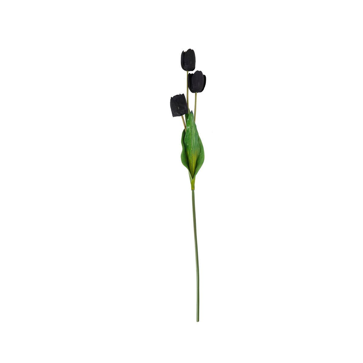 Artificial Tall Black Tulip Stem – Click Style