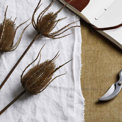 Artificial Tall Brown Teasel Branch – Click Style