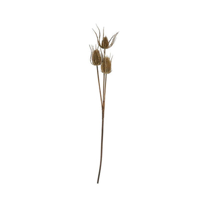 Artificial Tall Brown Teasel Branch – Click Style