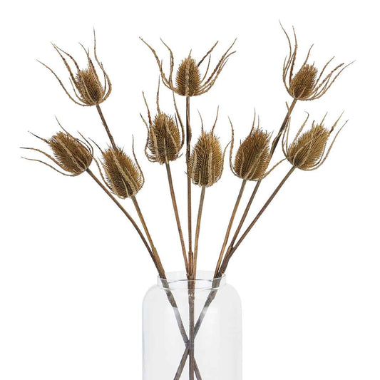 Artificial Tall Brown Teasel Branch – Click Style