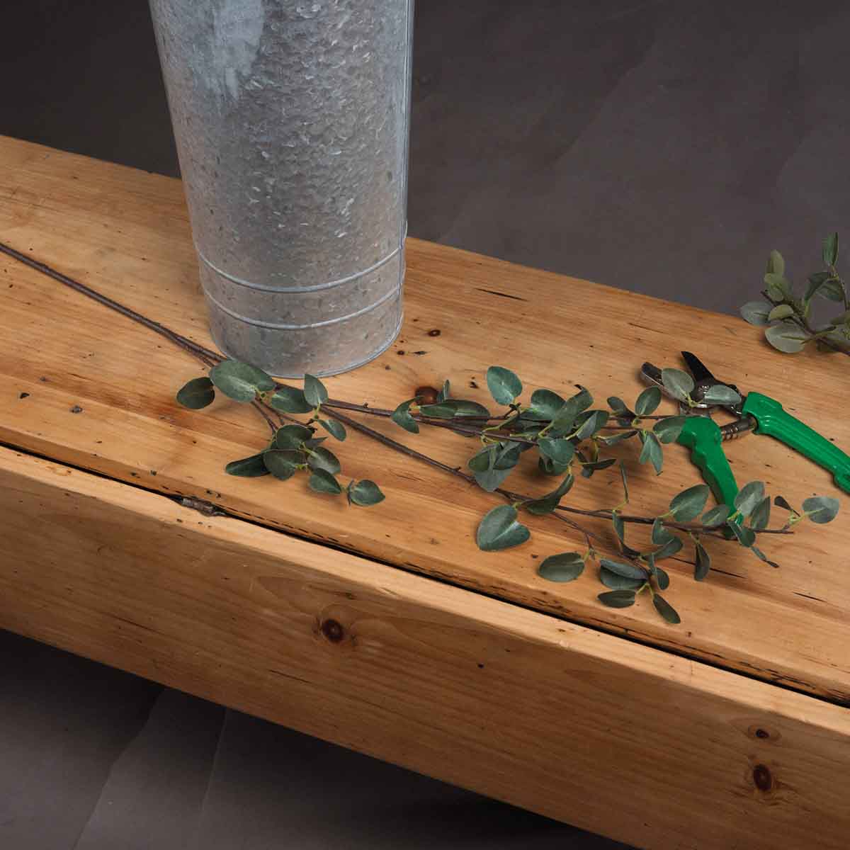 Artificial Tall Eucalyptus Cinerea Stem – Click Style