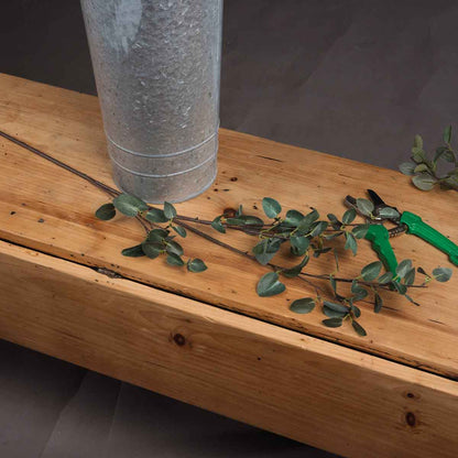 Artificial Tall Eucalyptus Cinerea Stem – Click Style