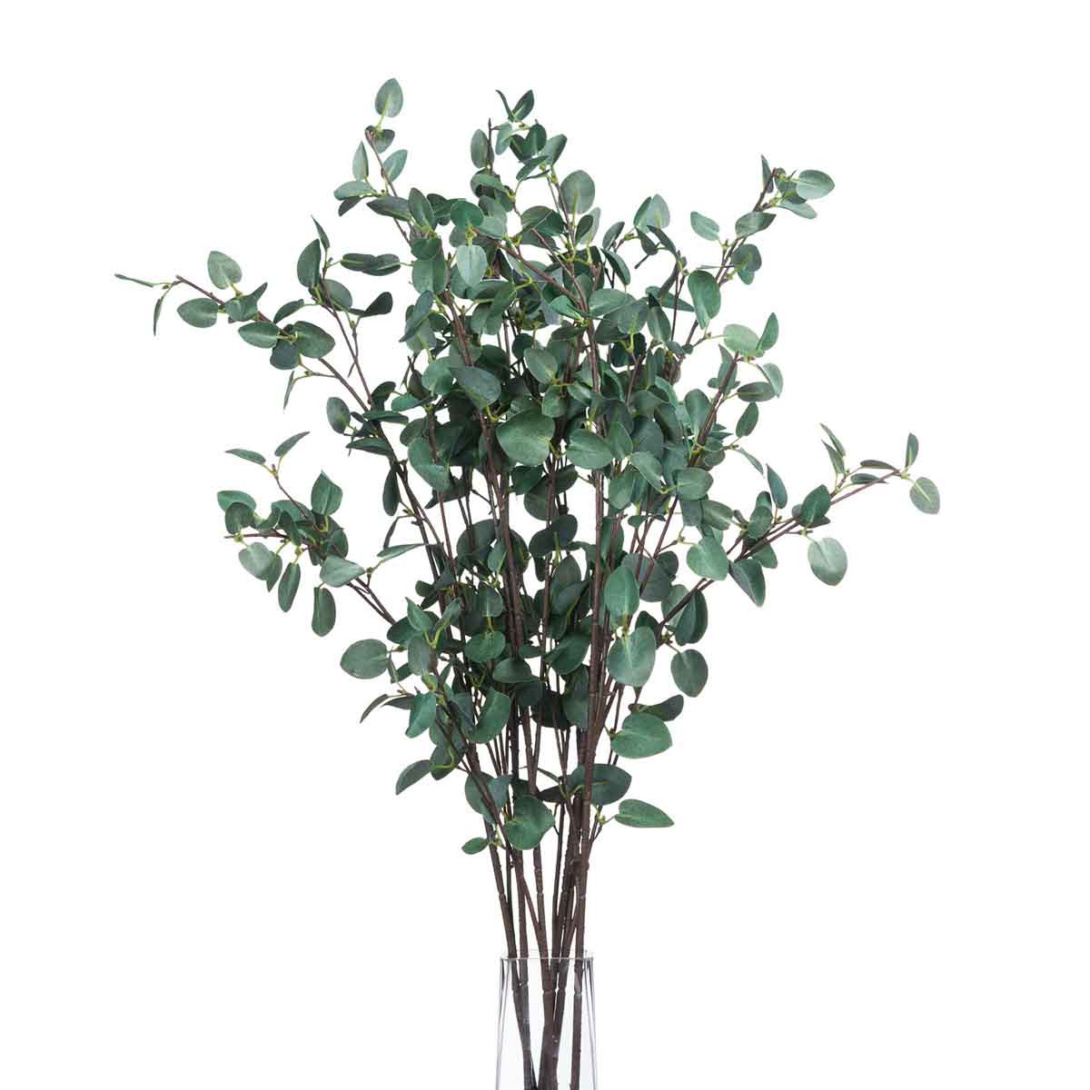 Artificial Tall Eucalyptus Cinerea Stem – Click Style