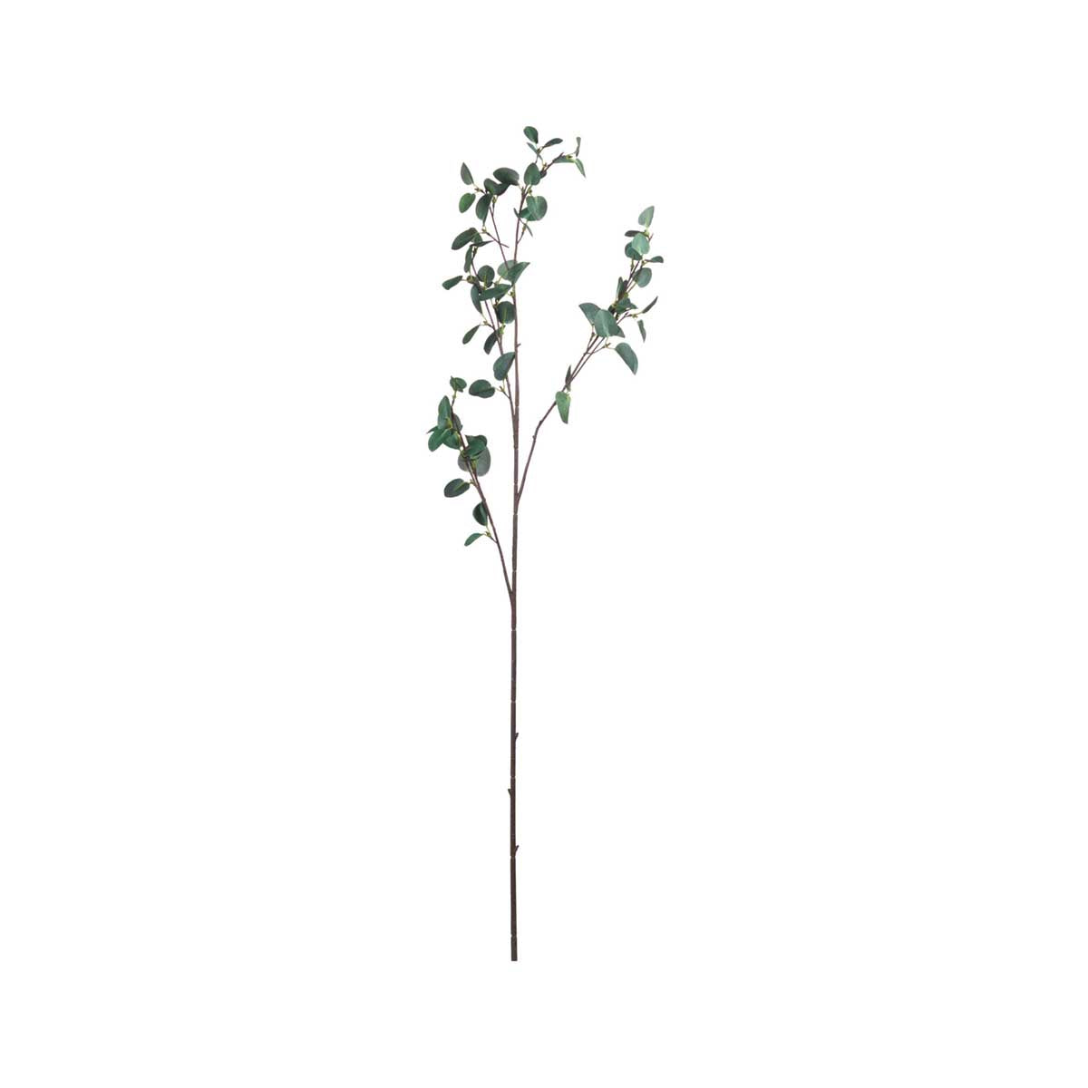 Artificial Tall Eucalyptus Cinerea Stem – Click Style