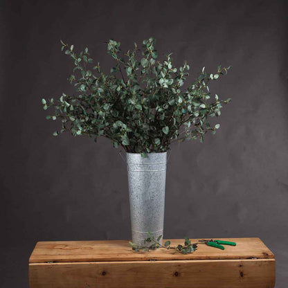 Artificial Tall Eucalyptus Cinerea Stem – Click Style