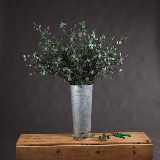 Artificial Tall Eucalyptus Cinerea Stem – Click Style