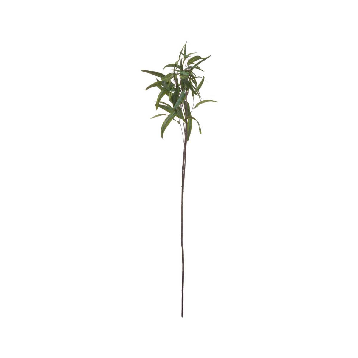 Artificial Tall Eucalyptus Nicholii Spray – Click Style