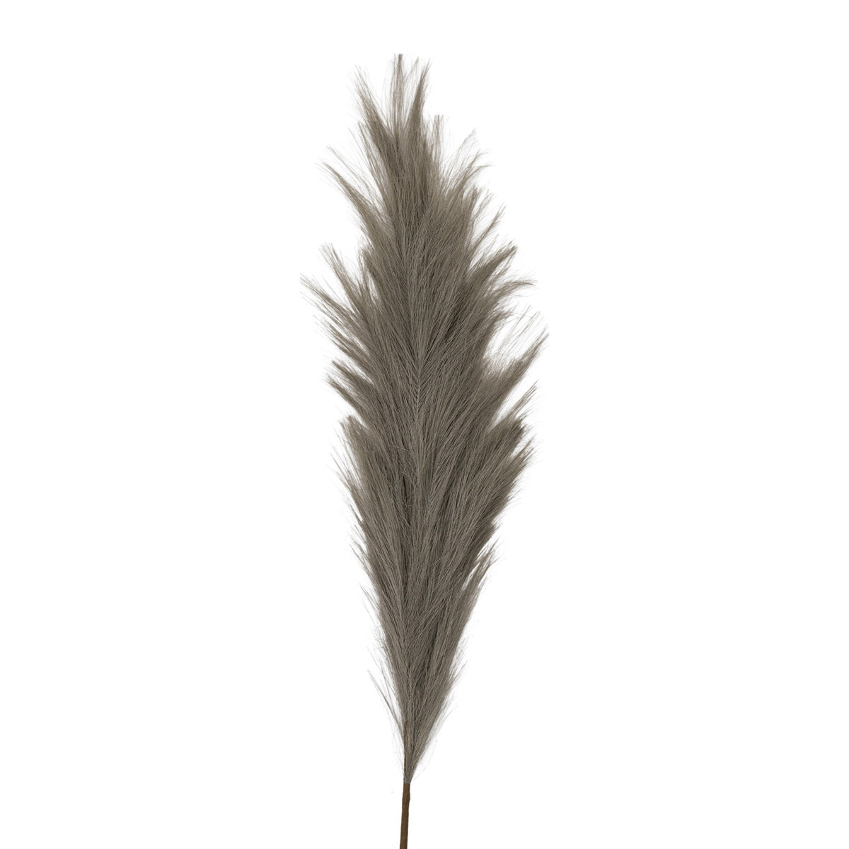 Artificial Tall Fluffy Grey Feather Pampas Grass Bunch of 3 Stems– Click Style