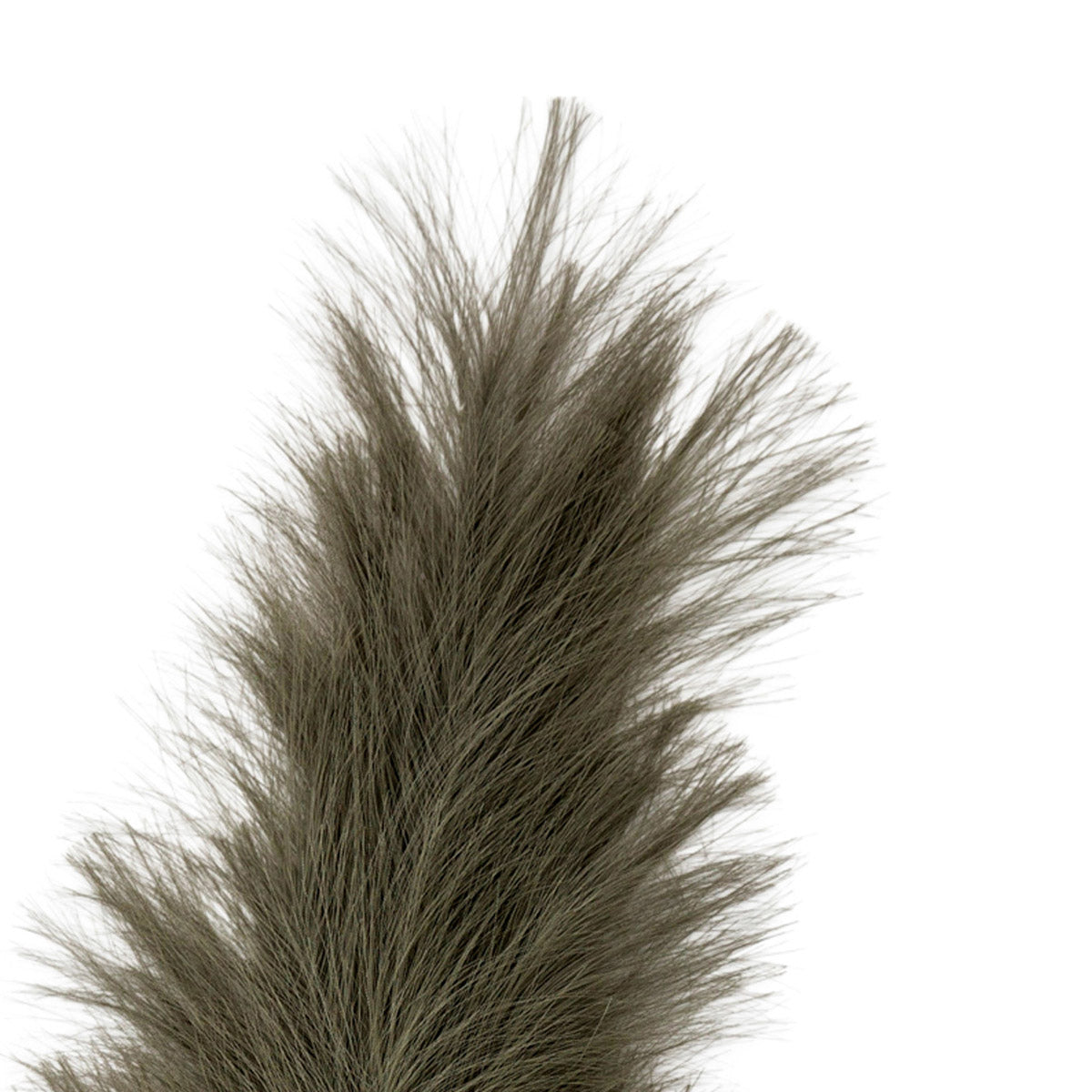 Artificial Tall Fluffy Khaki Feather Pampas Grass Bunch of 3 Stems– Click Style