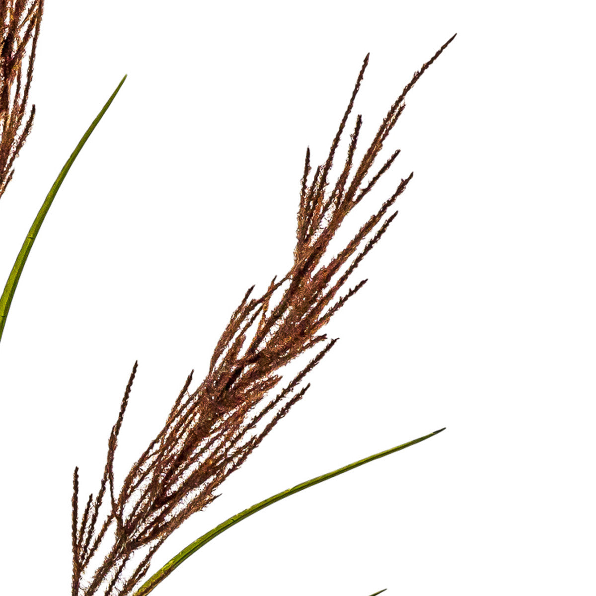Artificial Tall Russet & Green Pampas Grass Spray– Click Style