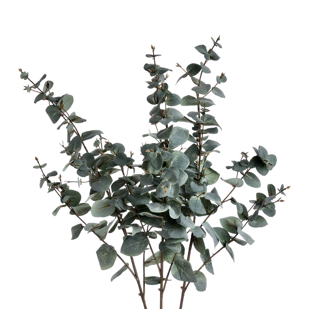 Artificial Variegated Silver Dollar Eucalyptus Stem – Click Style