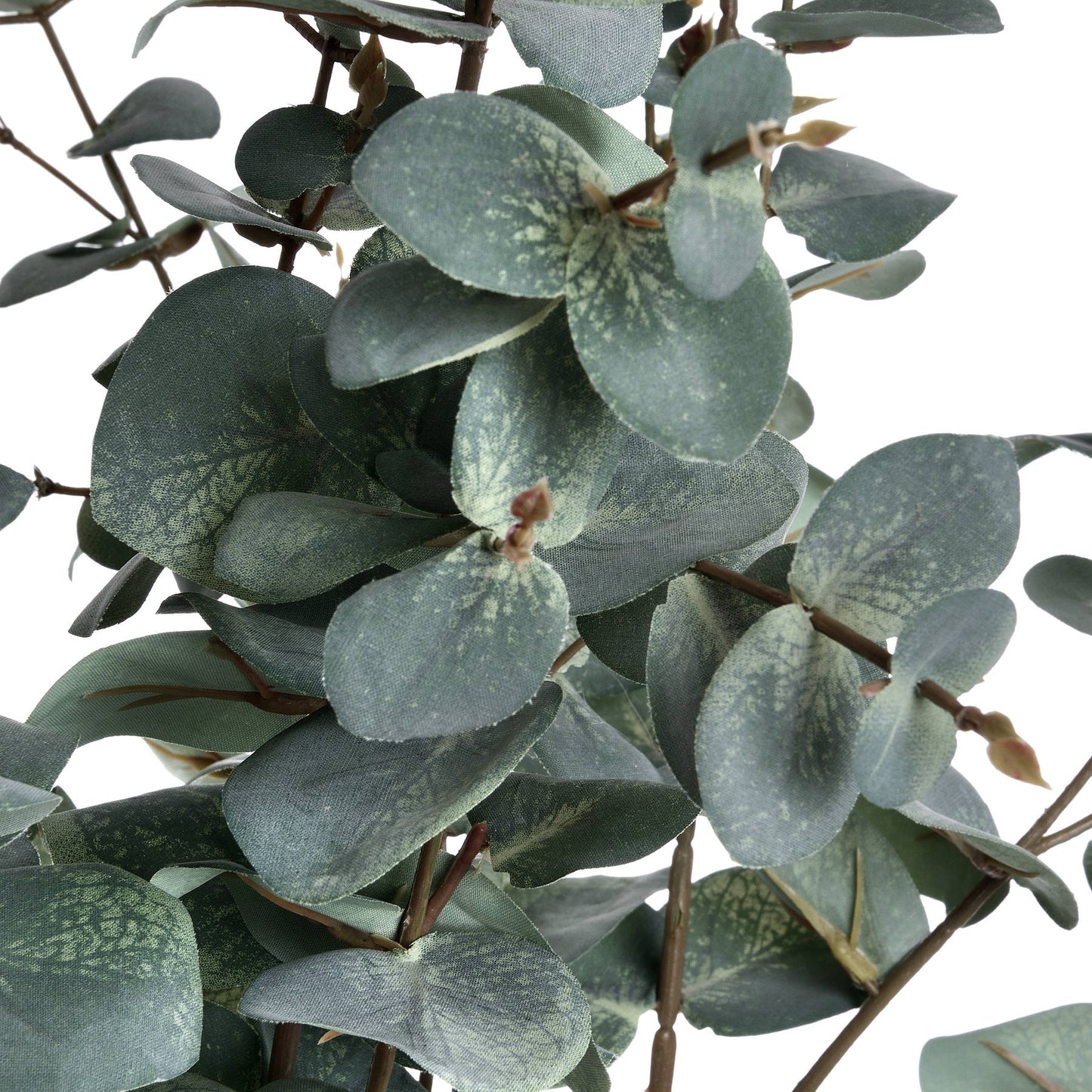 Artificial Variegated Silver Dollar Eucalyptus Stem – Click Style