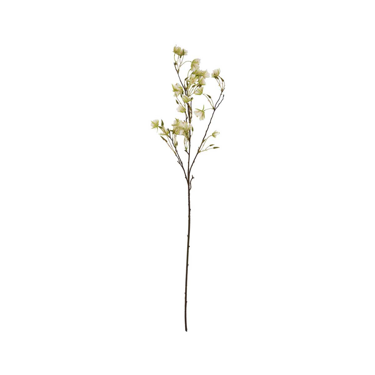 Artificial Tall White Elaeocarpus Stem – Click Style