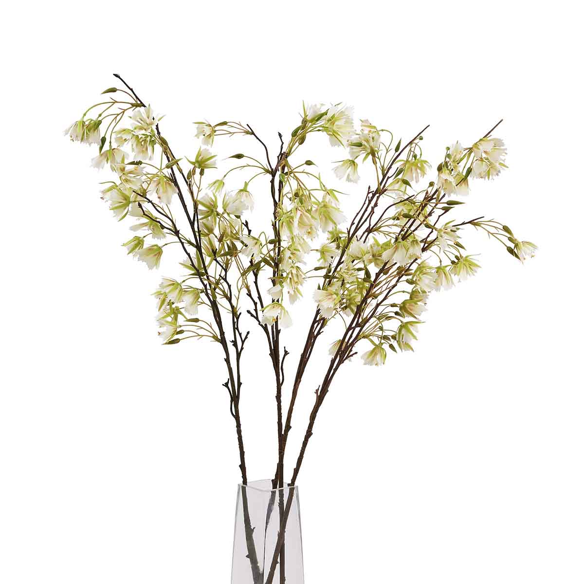 Artificial Tall White Elaeocarpus Stem – Click Style