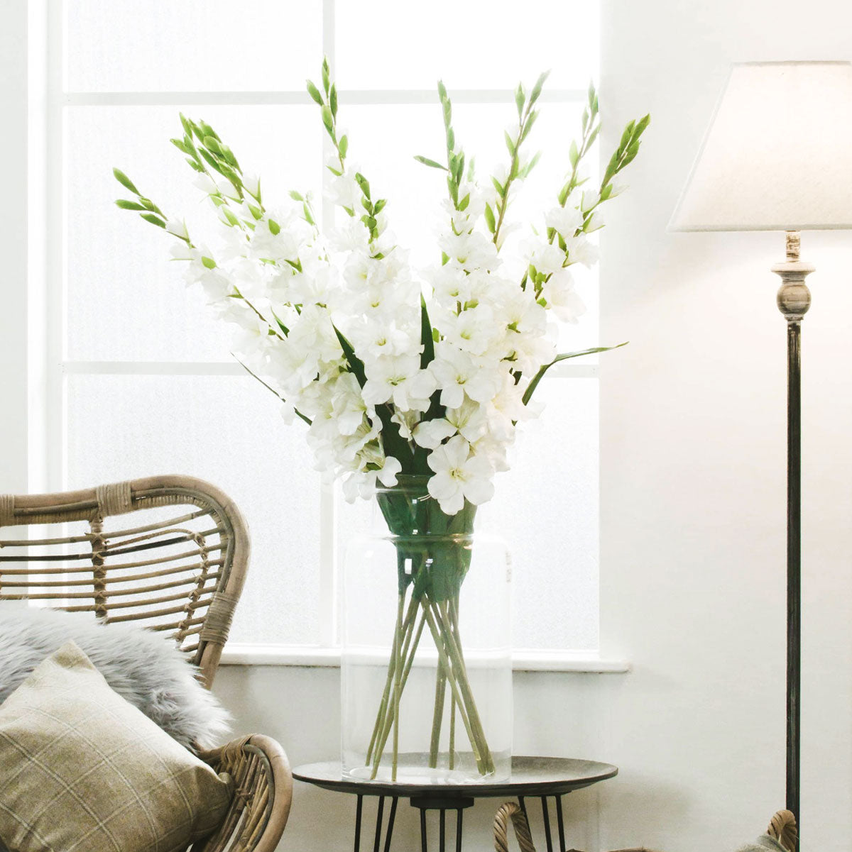 Artificial Tall White Gladiolus Stem – Click Style