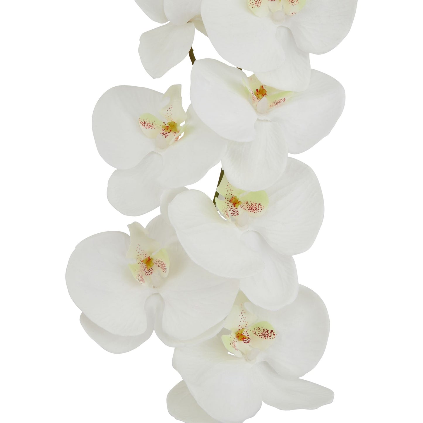 Artificial Tall White Phalaenopsis Orchid Stem – Click Style