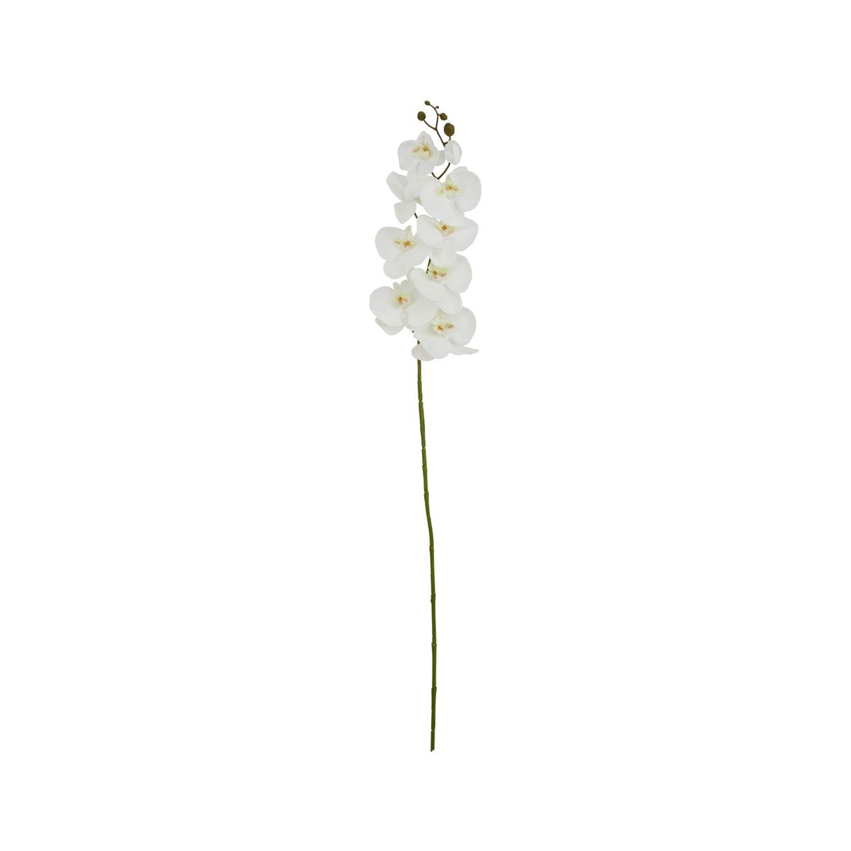 Artificial Tall White Phalaenopsis Orchid Stem – Click Style