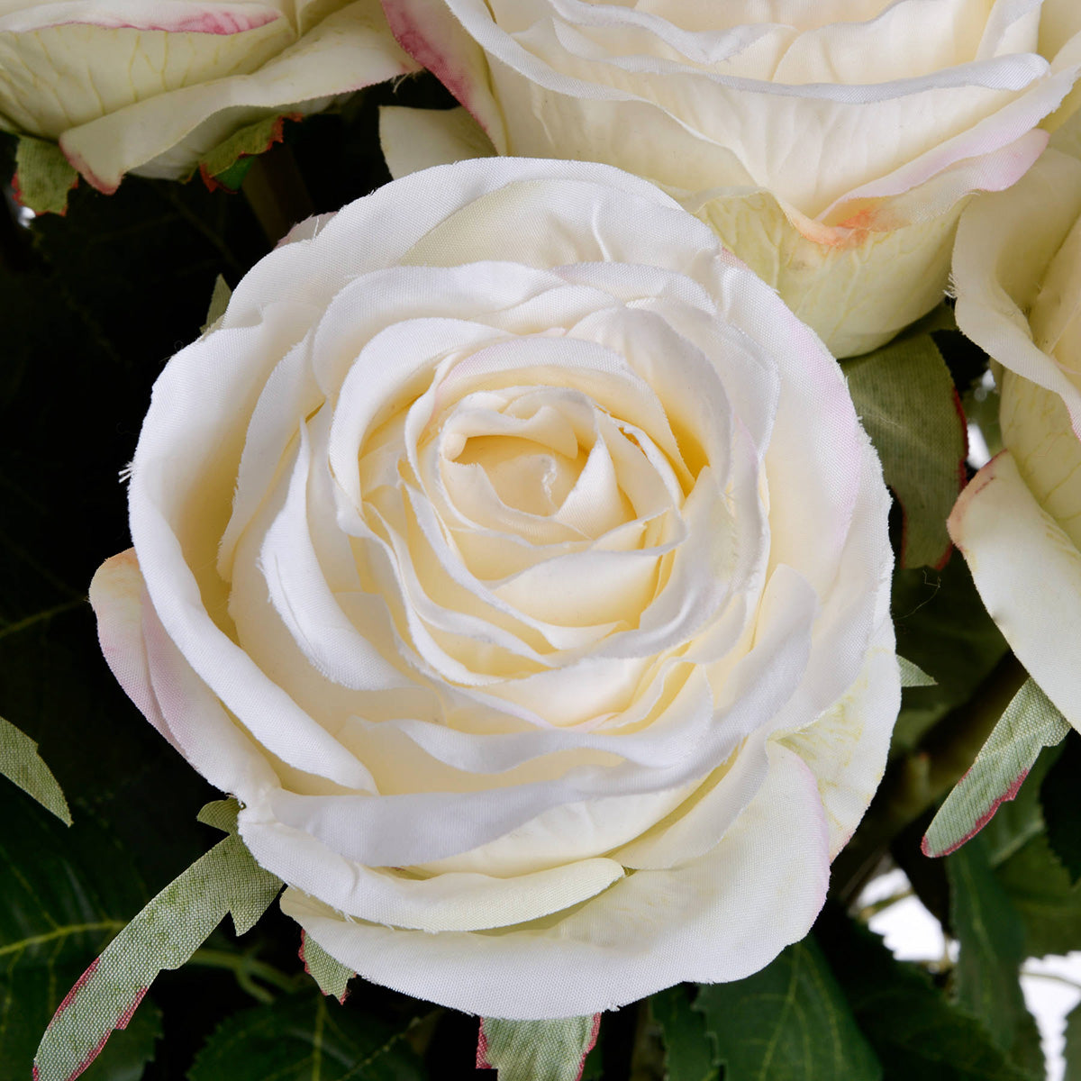 Artificial Traditional White Rose Stem – Click Style