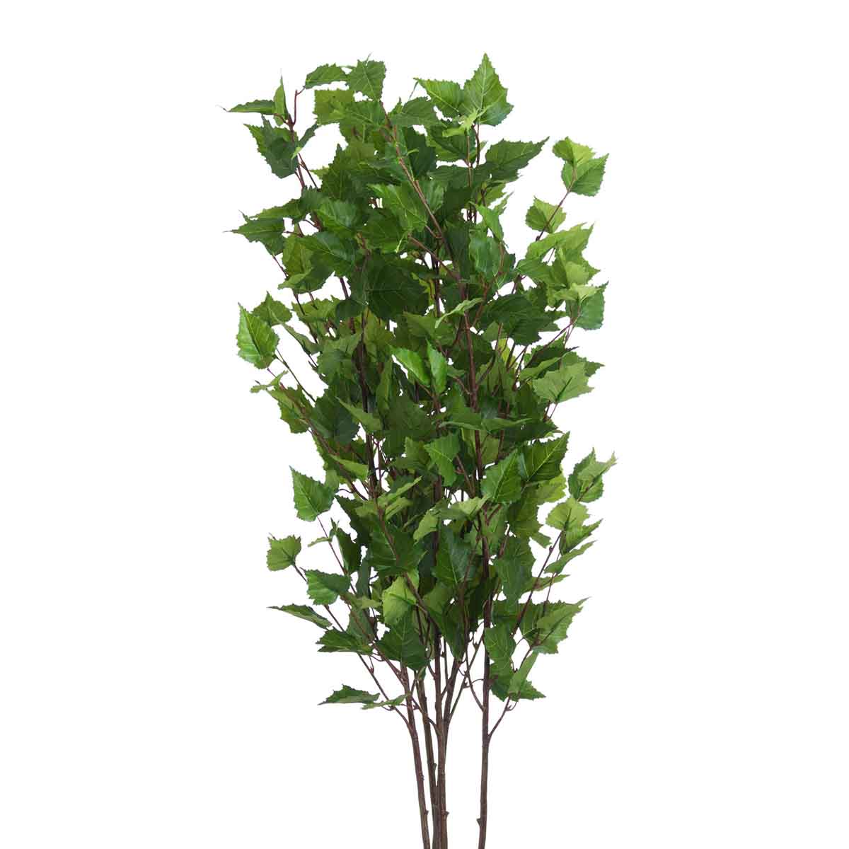 Artificial Tall Vibrant Green Branch Spray – Click Style