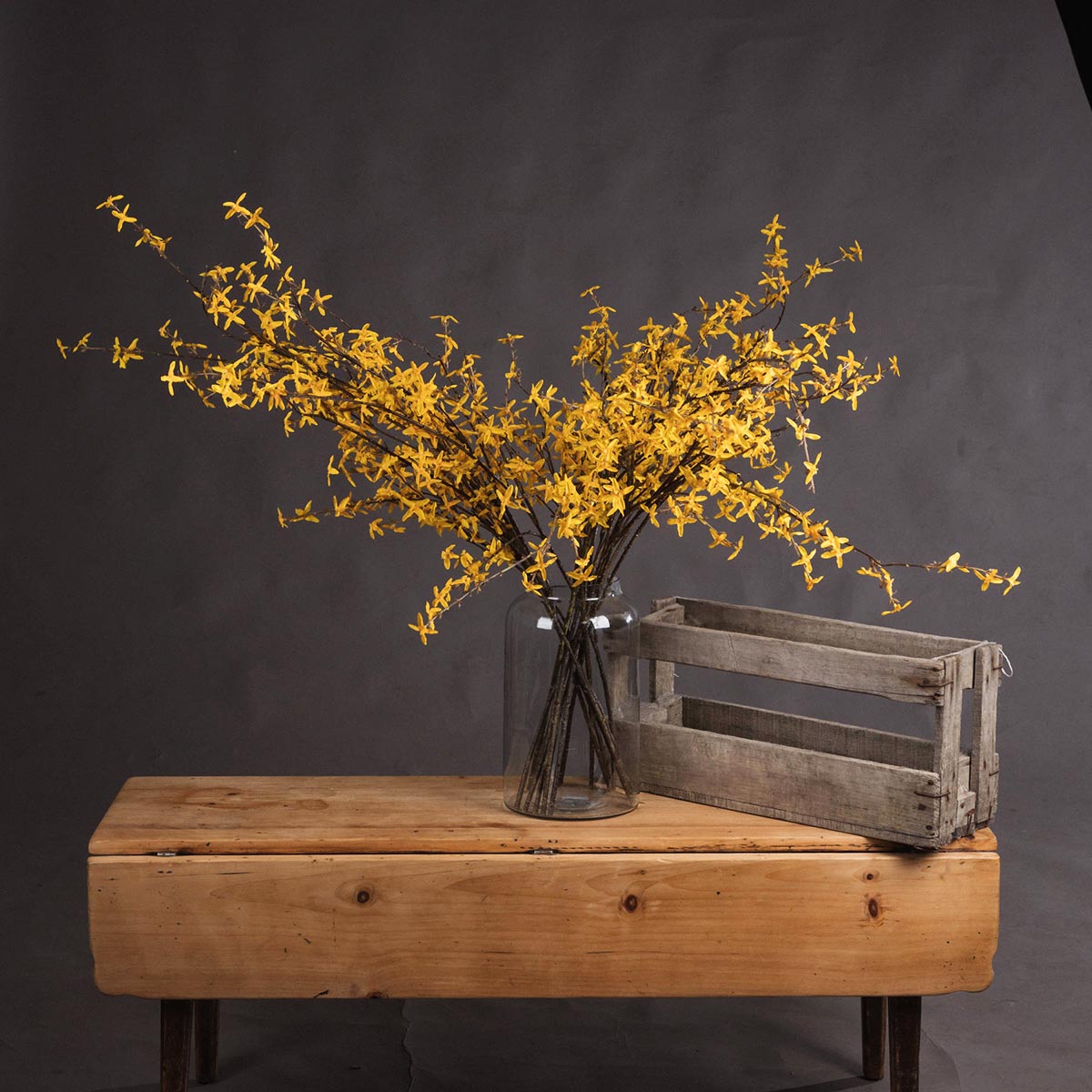 Artificial Vibrant Yellow Forsythia Stem – Click Style