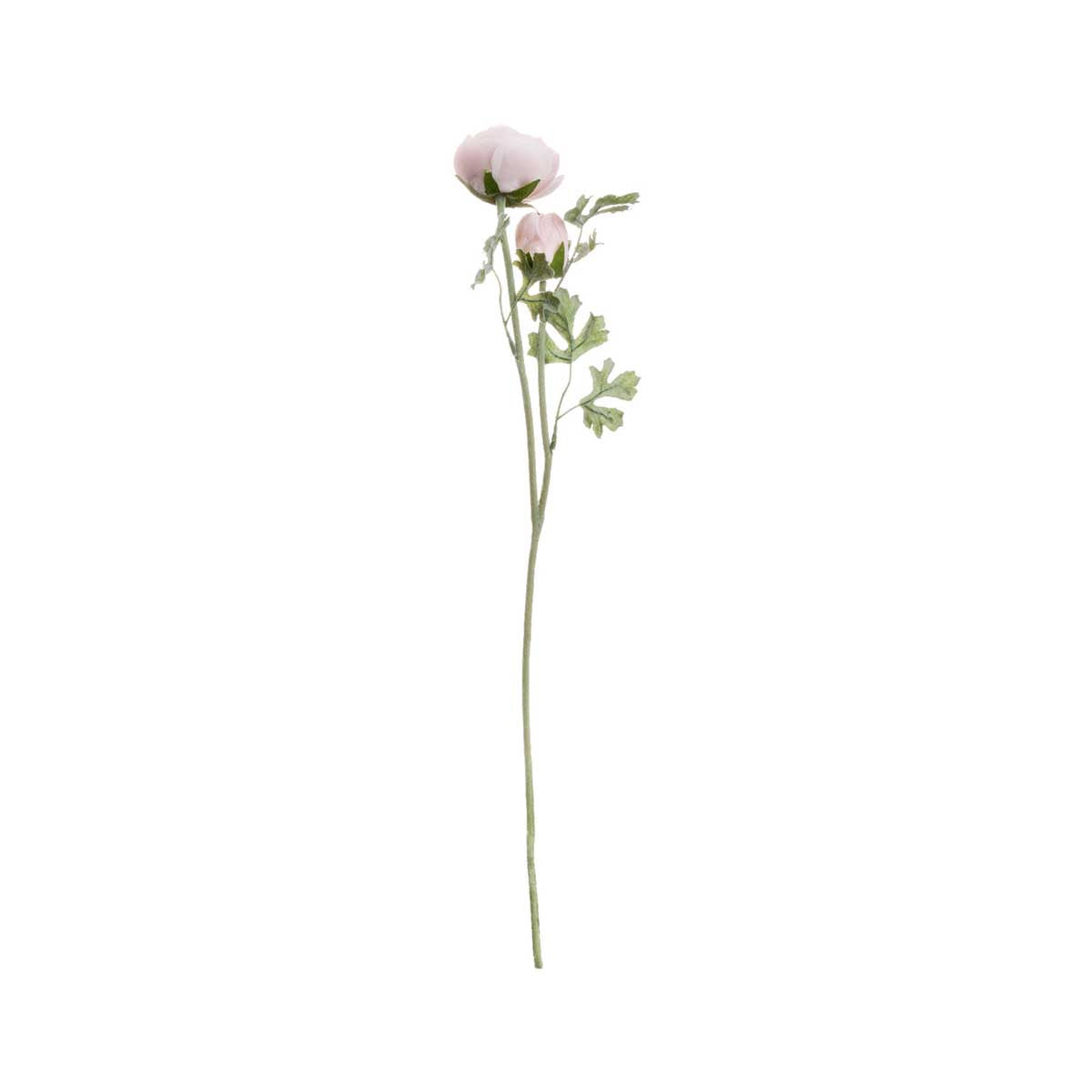 Artificial Warm Pink Ranunculus Stem – Click Style