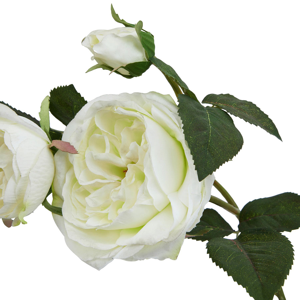 Artificial White Charity Rose Stem – Click Style