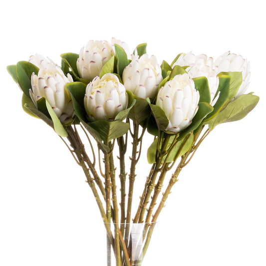 Artificial White Closed Protea Stem – Click Style