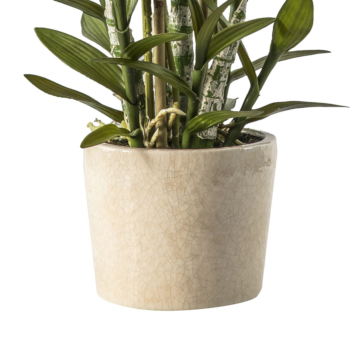 Artificial White Cycnoches Orchid Ceramic Pot - Click Style