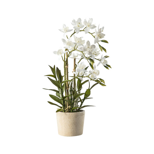 Artificial White Cycnoches Orchid in Ceramic Pot 56x30cm - Click Style
