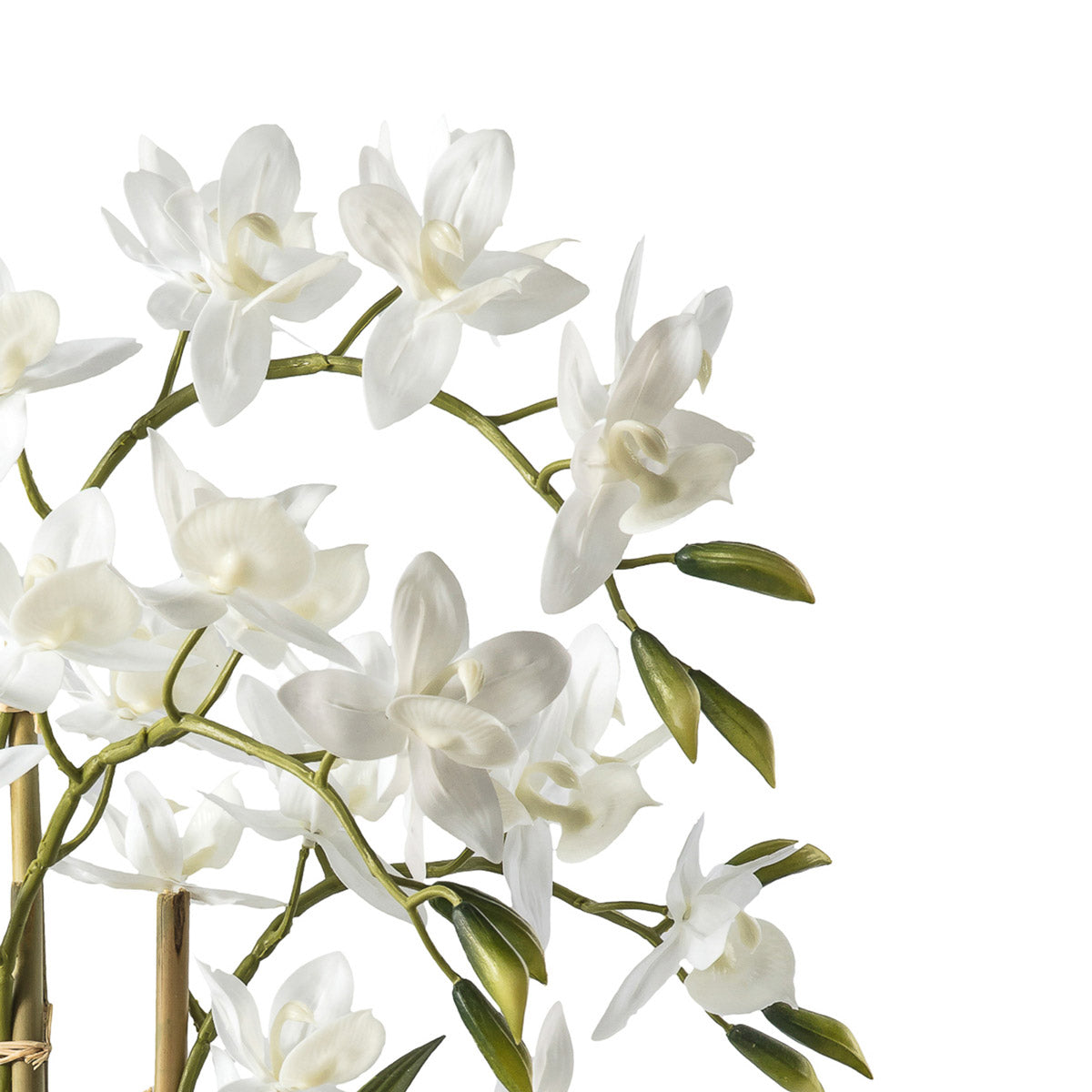 Artificial White Cycnoches Orchid with realistic flowers - Click Style