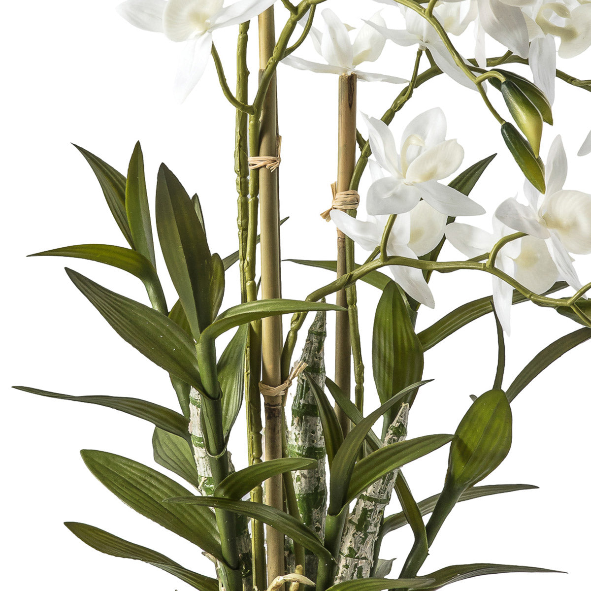 Artificial White Cycnoches Orchid with realistic leaves and stem - Click Style