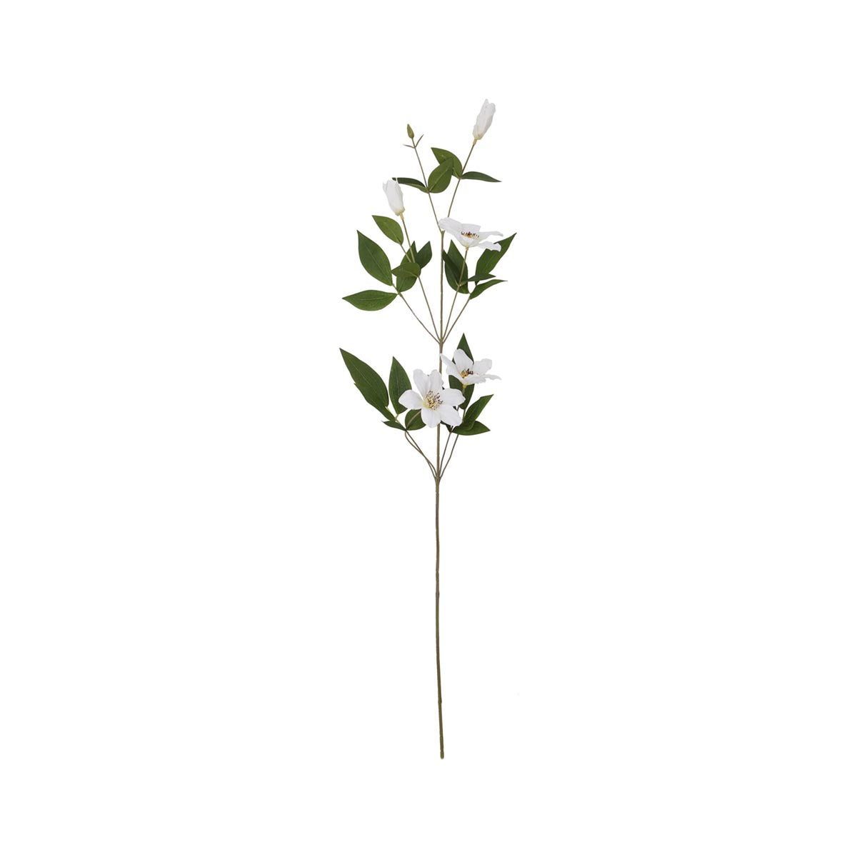 Artificial White Florida Clematis Stem – Click Style