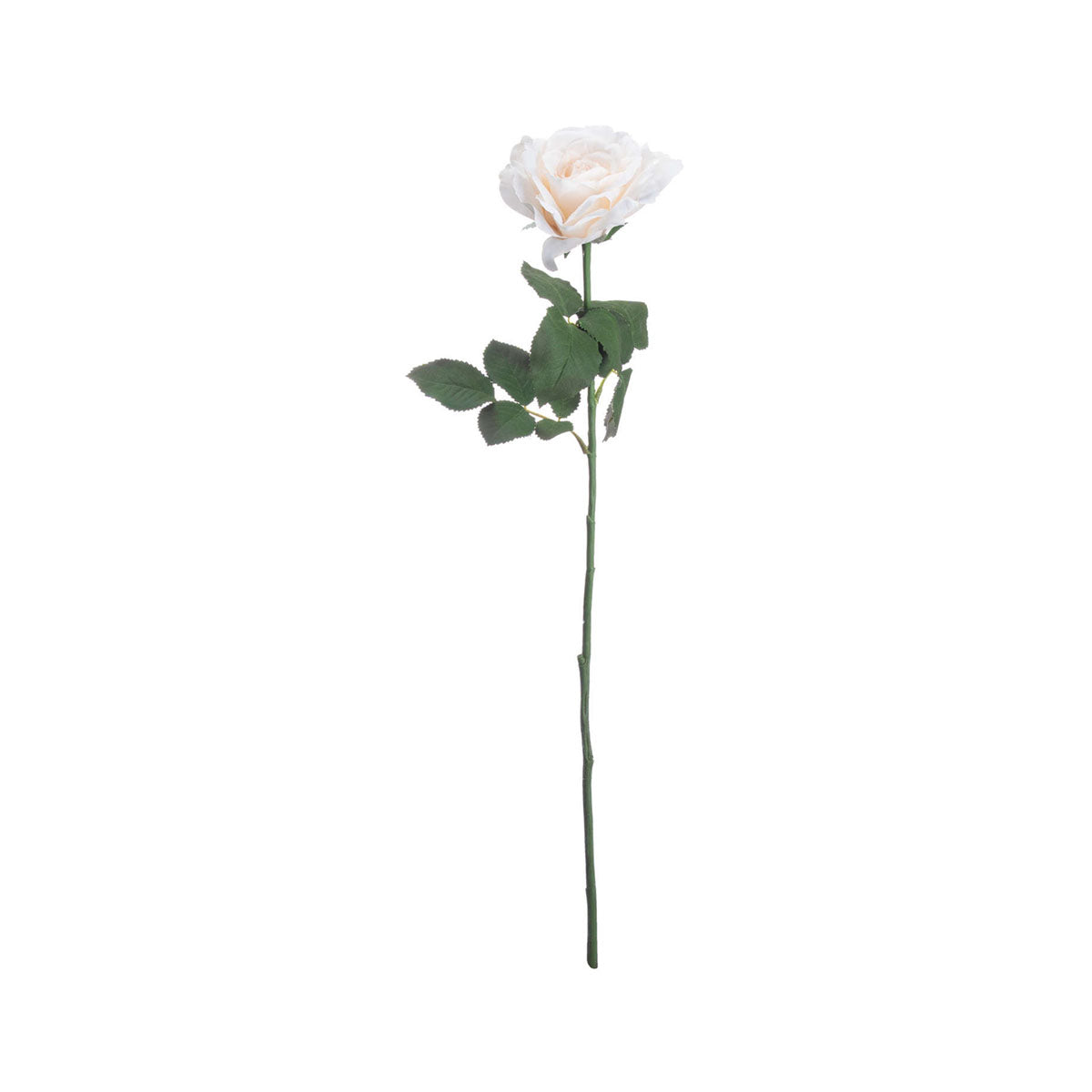 Artificial White Garden Rose Stem – Click Style