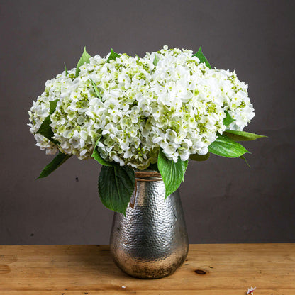 Artificial White Lace Cap Hydrangea Stem – Click Style
