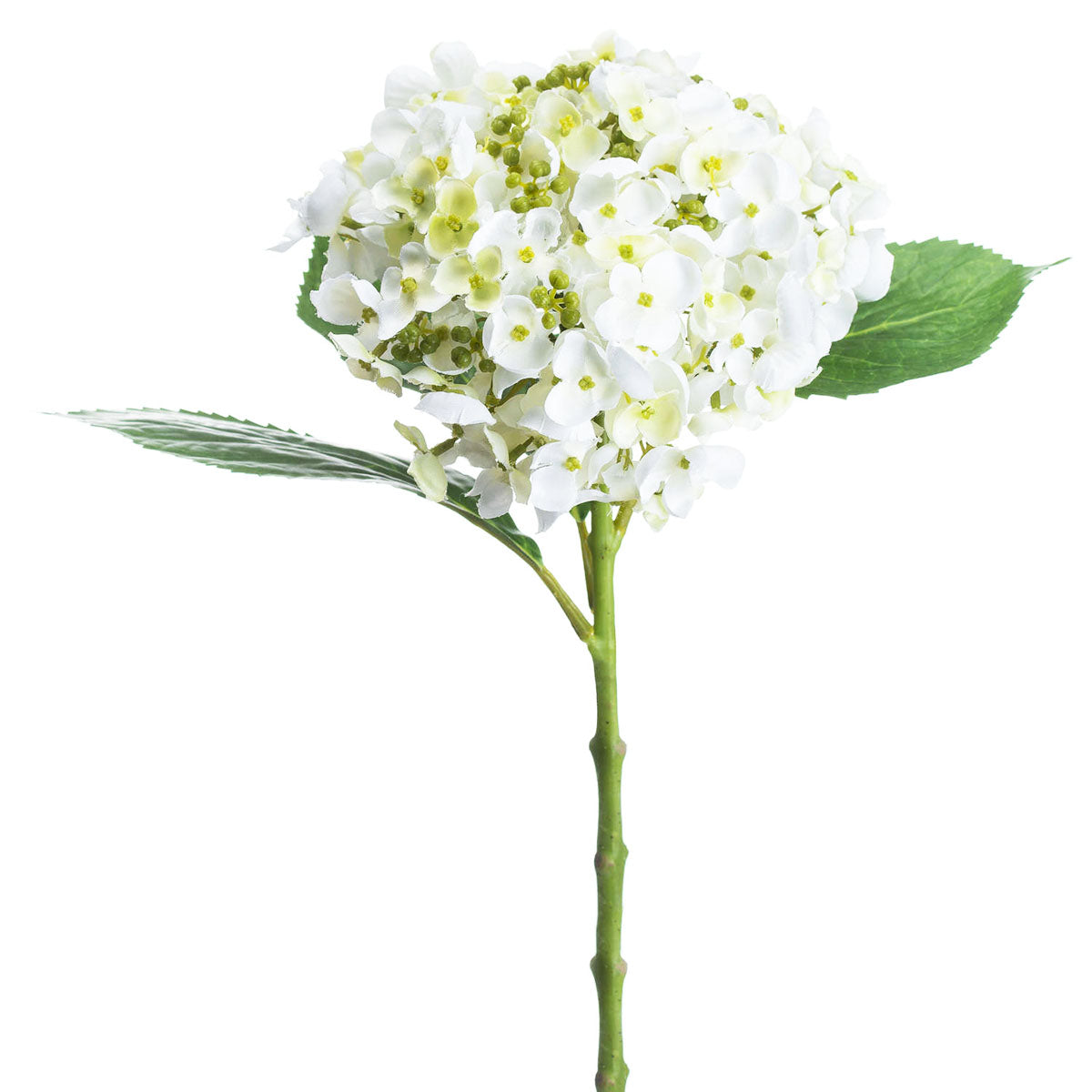 Artificial White Lace Cap Hydrangea Stem – Click Style