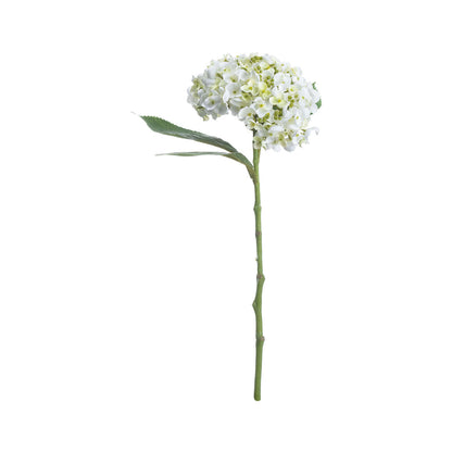 Artificial White Lace Cap Hydrangea Stem – Click Style