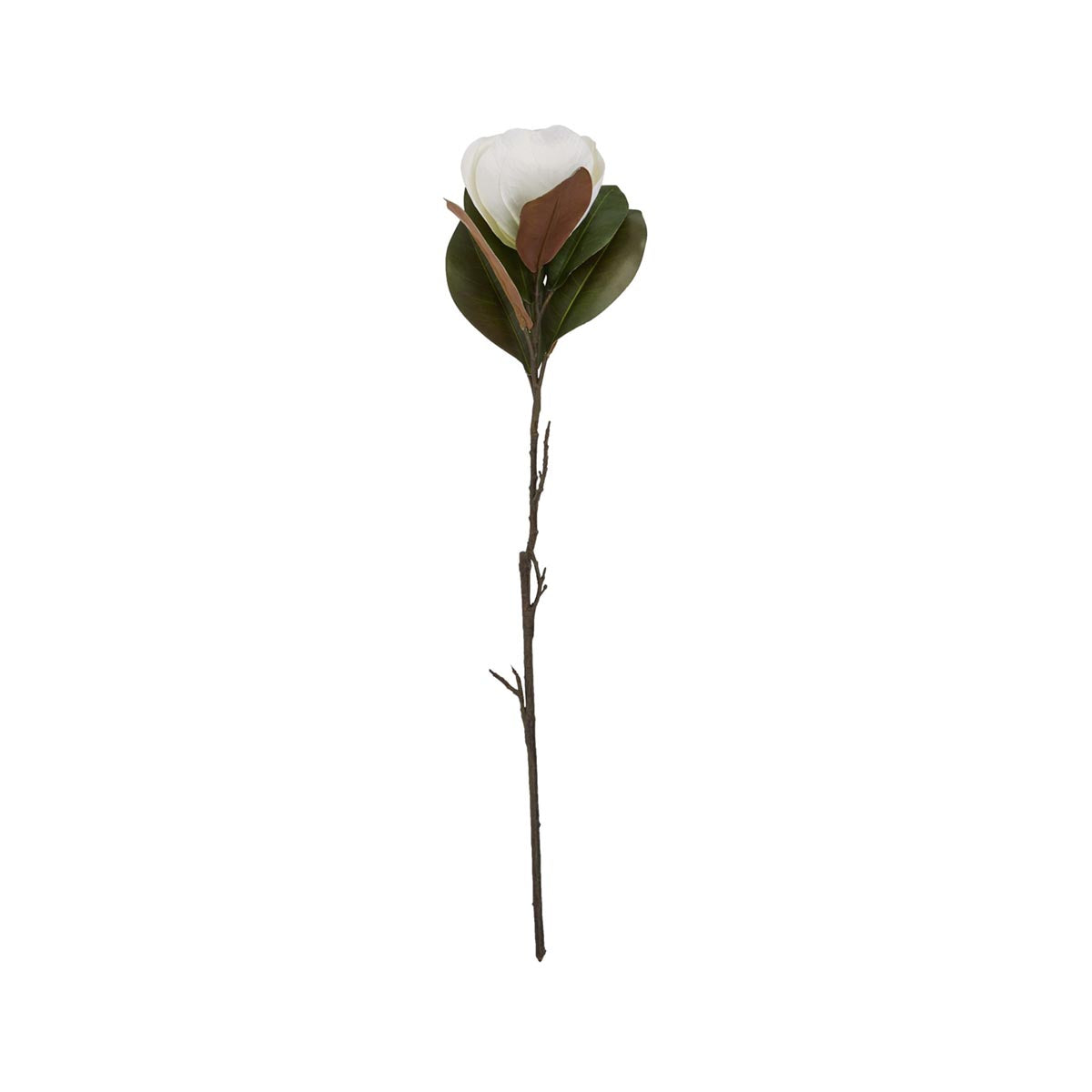 Artificial White Magnolia Stem – Click Style