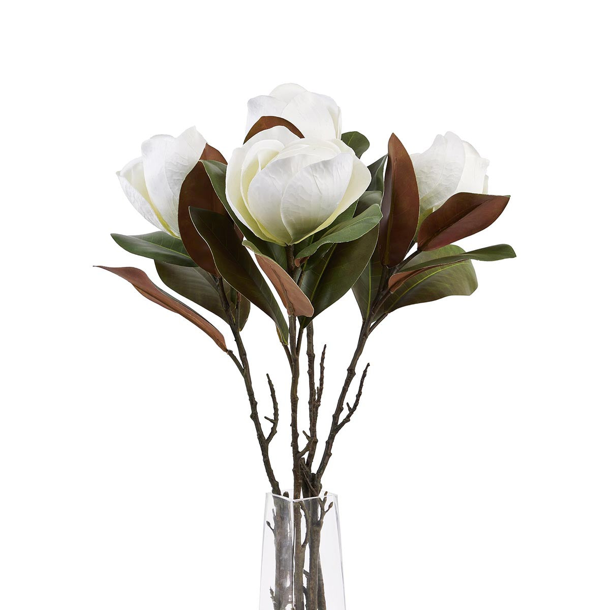 Artificial White Magnolia Stem – Click Style