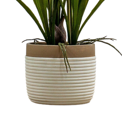 Artificial White Oncidium Orchid Ceramic Pot - Click Style