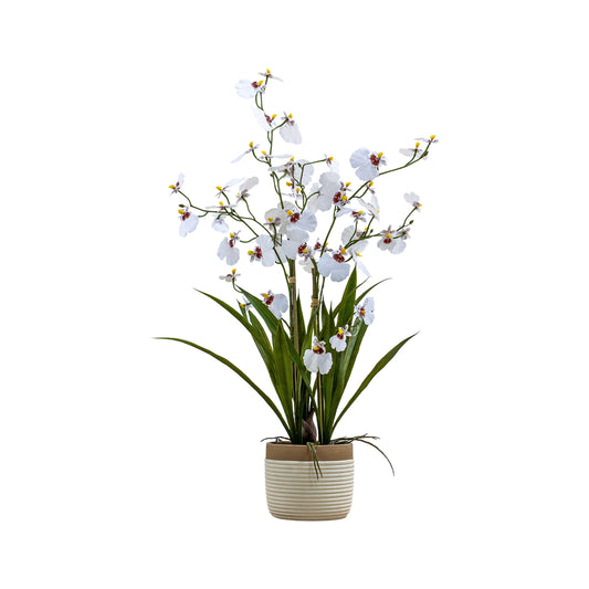 Artificial White Oncidium Orchid in a Ceramic Pot 66.5x50cm - Click Style