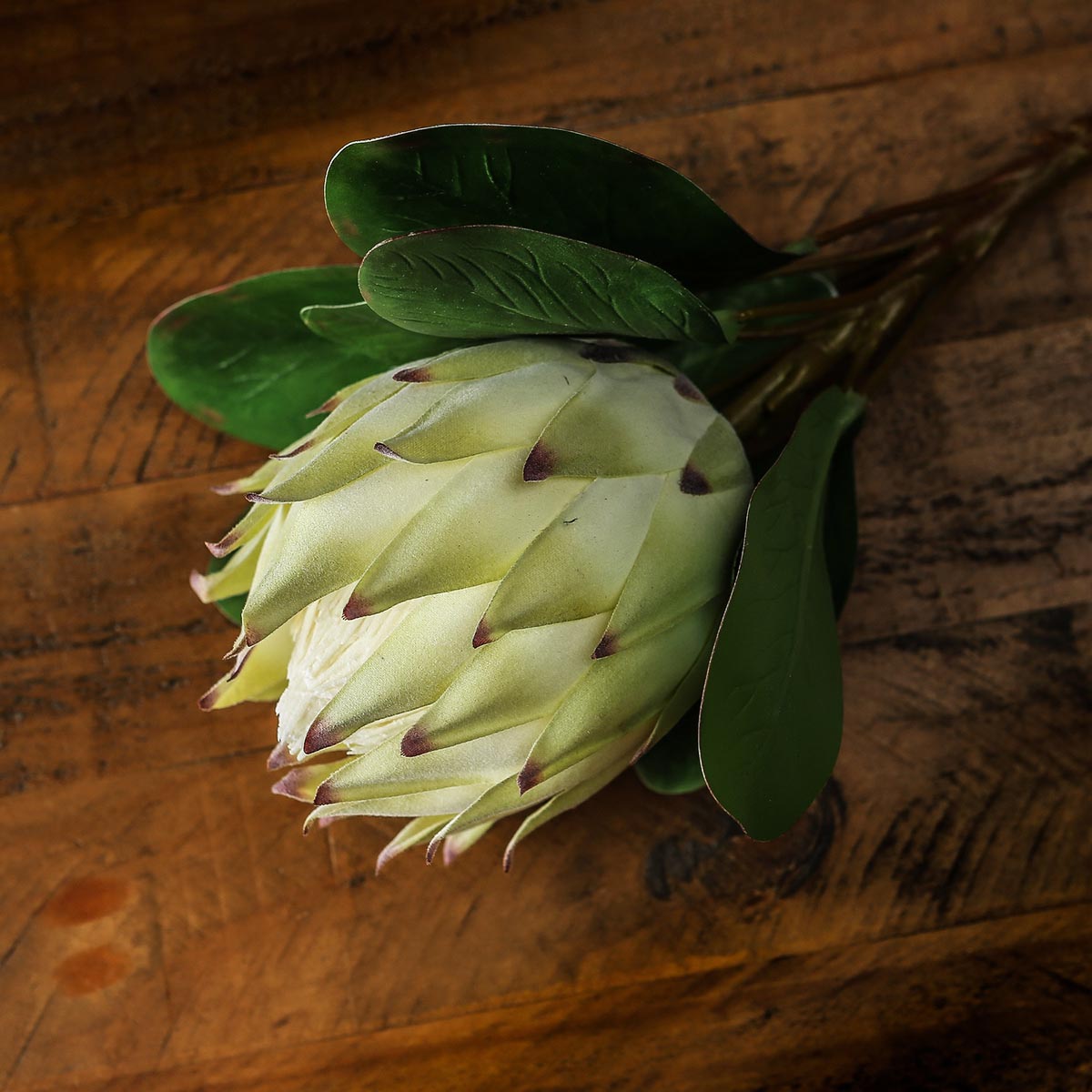 Artificial White Protea Stem – Click Style