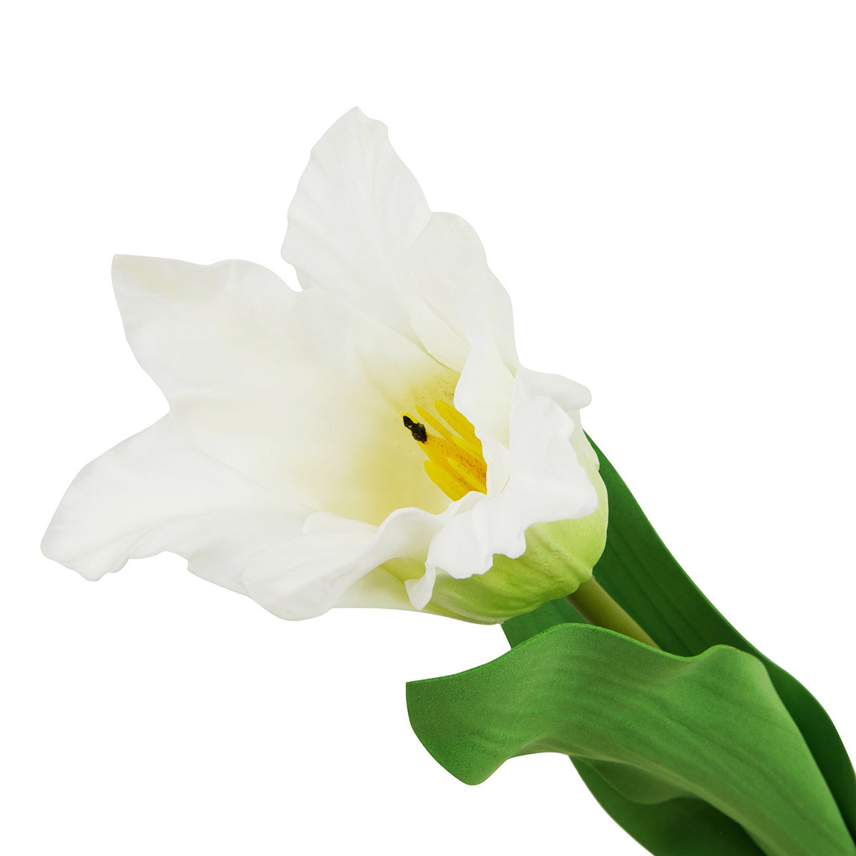 Artificial White Parrot Tulip Stem – Click Style