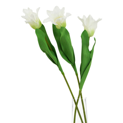 Artificial White Parrot Tulip Stem – Click Style