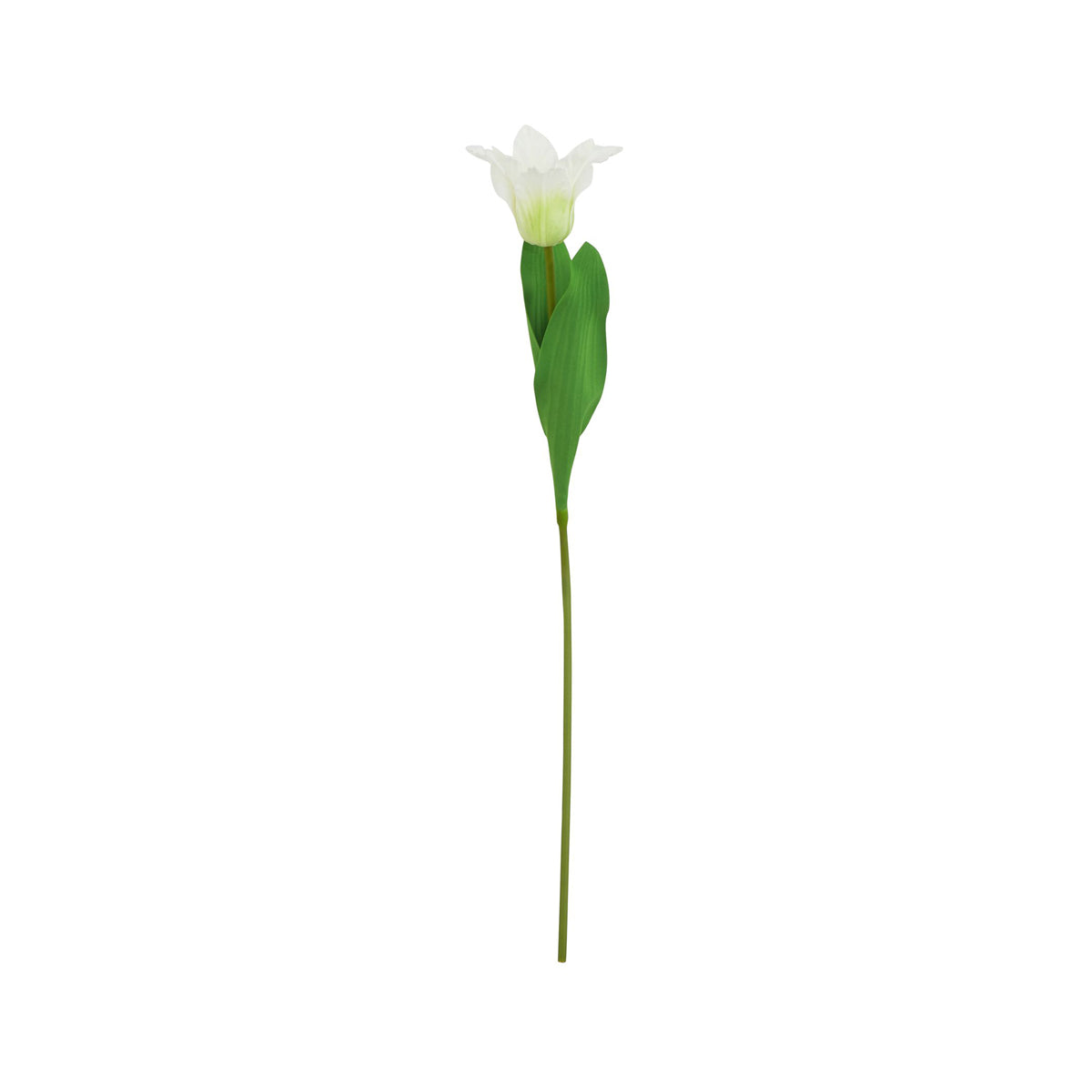 Artificial White Parrot Tulip Stem – Click Style