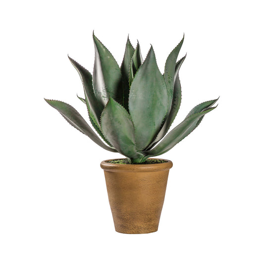 Artificial Wide Leaf Aloe Plant in Rustic Pot 56x56cm – Click Style
