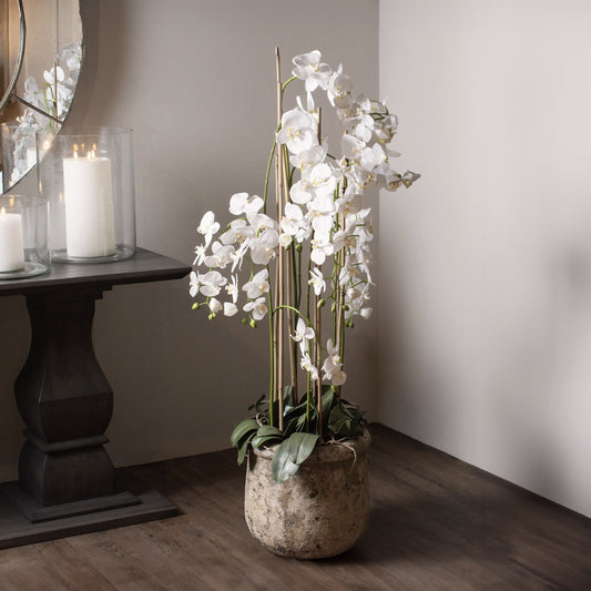 Artificial Extra Large Floor Standing White Orchid in Rustic Pot 153x40cm