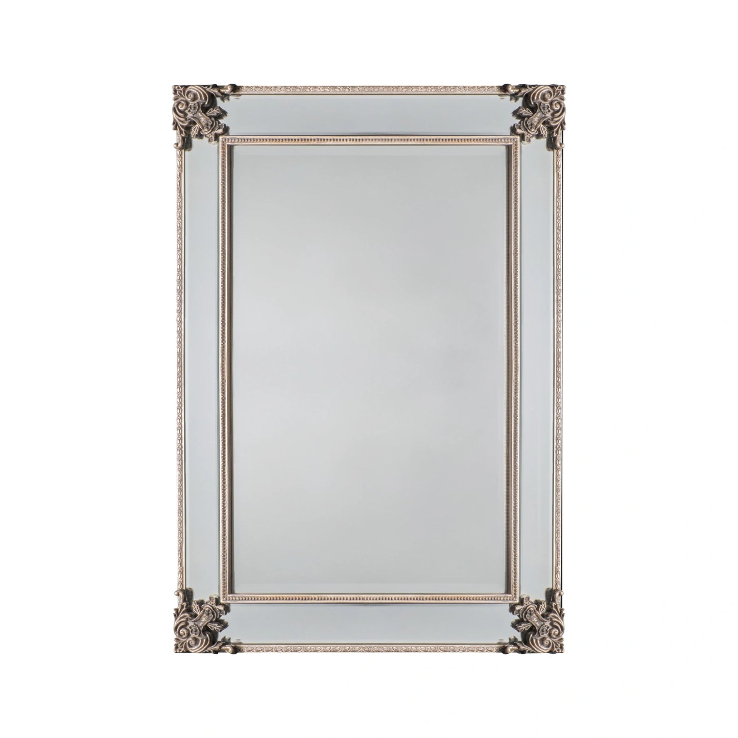 Large Ornate Rectangular Champagne Wall Mirror 114x83x4.5cm – Click Style