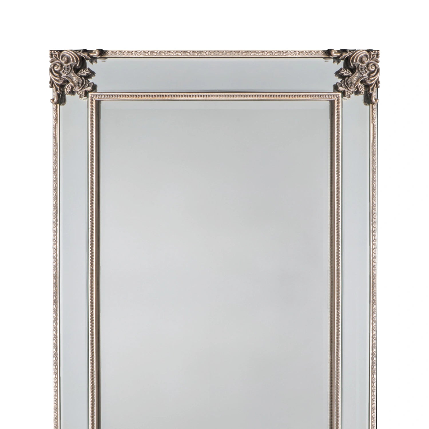 Large Ornate Rectangular Champagne Wall Mirror 114x83x4.5cm – Click Style